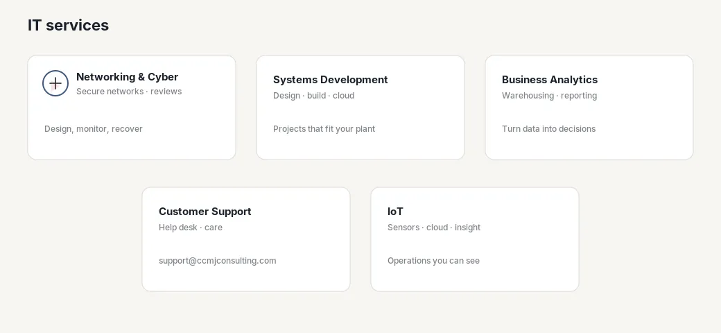 IT services: networking, systems, analytics, support, and IoT.